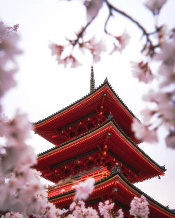 A vertical low angle shot of the beautiful Kiyomizu Dera captured in spring in Kyoto, Japanのeditorial素材