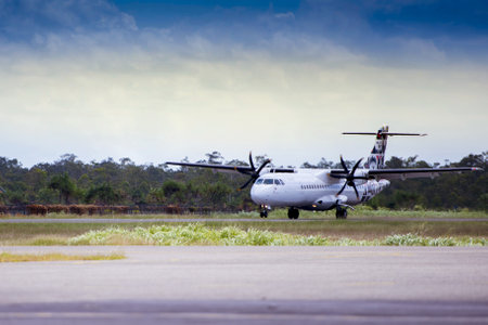 A closeup shot of an airplane landing on a landing band among palm treesの写真素材