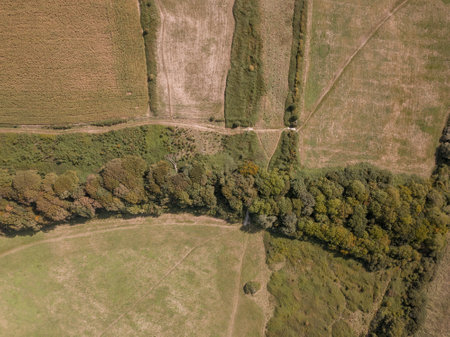 The drone view of the landscape near Teddy Bear Woods, Weymouth, Dorset