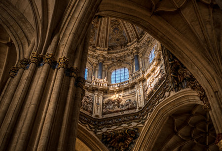 The inside view of the dome and the arches of the New Cathedral Salamanca in Spainの写真素材