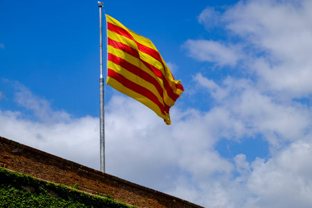 the Senyera flag in a pole under a blue skyの写真素材
