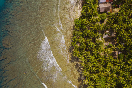 The mesmerizing view of the beach with white sand and turquoise clear water in Indonesia