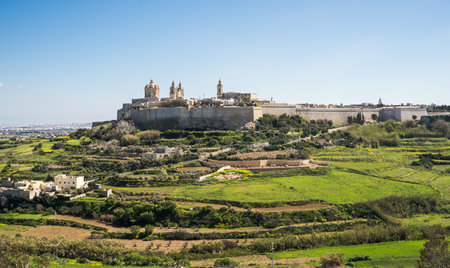 The mesmerizing view of the ancient Mdina city in Malta under the blue skyの写真素材