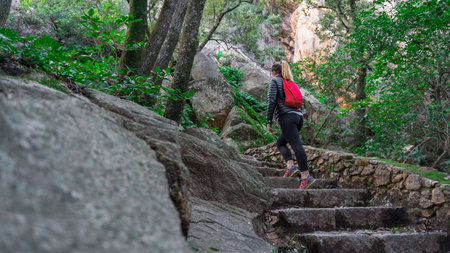 A panoramic shot of a woman climbing upstairs while hiking in a forest