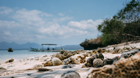Menjangan Island is a small island, located 5 miles to the north-west of Bali. Diving here was superb, you can float along the reef wall.の写真素材