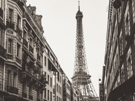 The Eiffel Tower surrounded by buildings with monochrome tones - perfect for backgroundsの写真素材