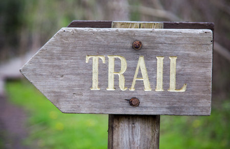 A closeup of a wooden sign with the [TRAIL] word written on it against a blurry backgroundの写真素材