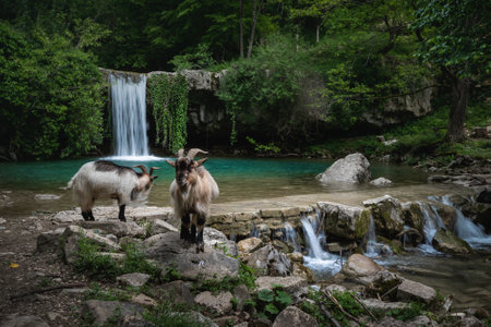 The magical valley in Istria called GologoriÄki Dol.の写真素材
