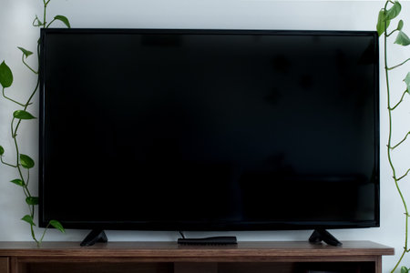 A closeup shot of the TV surrounded by house plantsの写真素材