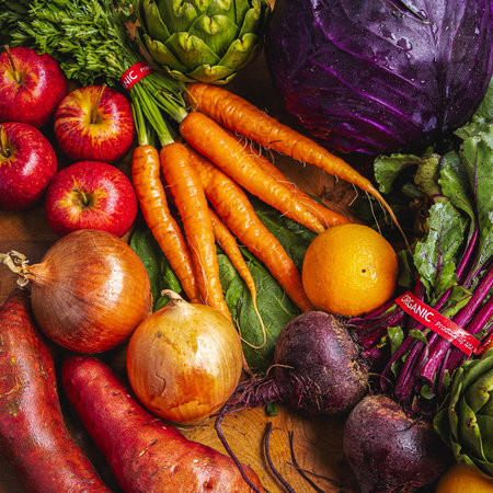 A lot of different fresh vegetables - healthy eating conceptの写真素材