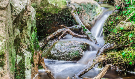 A closeup shot of the beautiful stream on the moss-covered rocks in a forestの写真素材