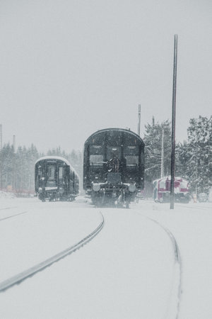 A vertical shot of two trains near the forest during the frosty snowflakeの写真素材