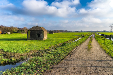 Remaining World War 2 bunkers in a December polder landscape in a polder between Utrecht and Amsterdamの写真素材