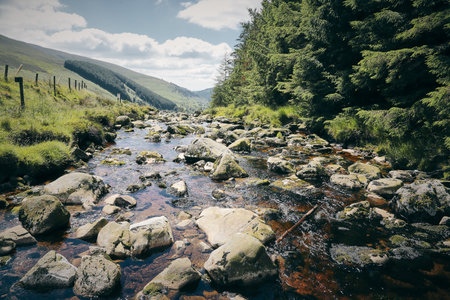 A mesmerizing scenery of a stream of Wicklow mountainの写真素材