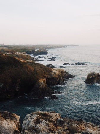 A vertical shot of a rocky coast with weed fields under a clear skyの写真素材
