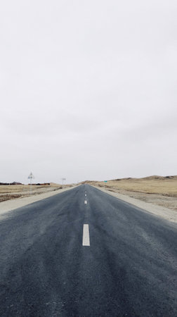 A vertical shot of a narrow road in the middle of field under the clear skyの写真素材