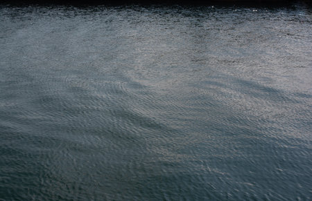The water surface of a body of water