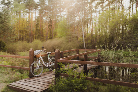 A bicycle parked on the wooden bridge in the forestの写真素材