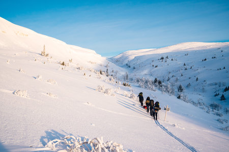 A group of people skiing in the mountains covered with snow during daytimeの写真素材
