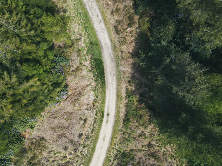 An overhead shot of a narrow road in a forest in a Puddletown Forest in Dorset, UKの写真素材