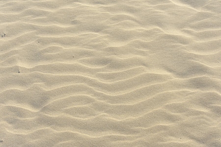 A closeup shot of the sand at the beach under the sunlight at daytime