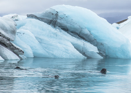 A beautiful scenery of small blue icebergs in Jokulsarlon ice lake and very gray sky in Icelandの写真素材
