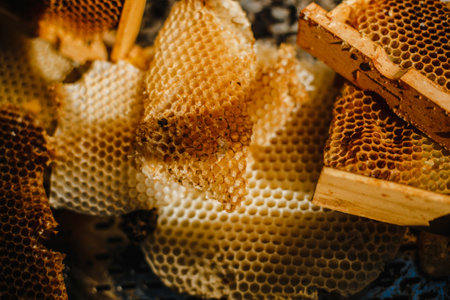 A closeup of a freshly harvested beeswax from a wooden beehive boxの写真素材