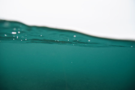 A beautiful shot captured underwater near the surface with a waterproof cameraの写真素材