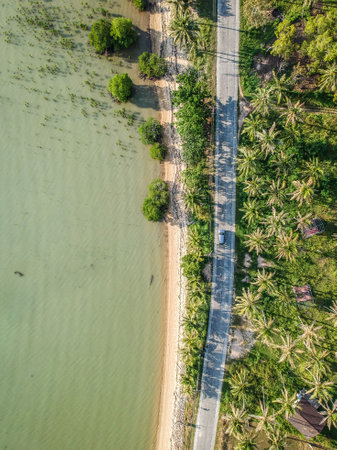 An overhead shot of a road next to the trees and the lake