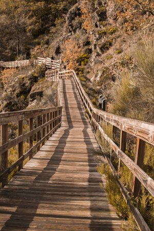 A vertical shot of a wooden brown pathway into a rocky park during  autumn