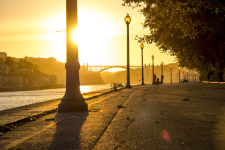 A low angle shot of a river with a bridge, a street, street lamps, and trees during sunsetの写真素材