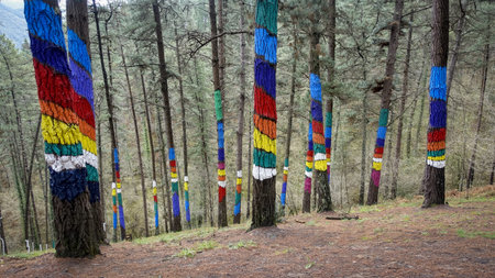 A view of colorful painted tree trunks at Oma forest in Basque Country, an autonomous community in...