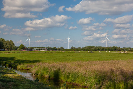 A Dutch farm landscape with modern wind turbines  under the blue sky and white clouds