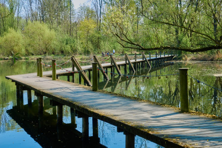An amazing shot of a wooden pier on a lake near Braunschweig, Germany