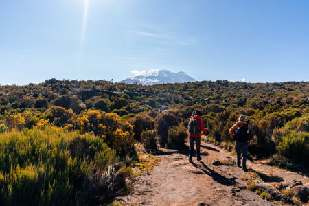 A group of trekkers hiking in Kilimanjaroの写真素材