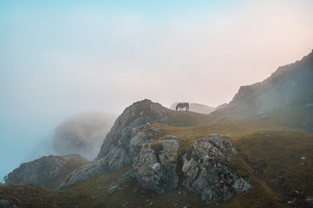 A brown horse grazing on the mountain Penas de Aya in Oiartzun, Gipuzkoa, Spain