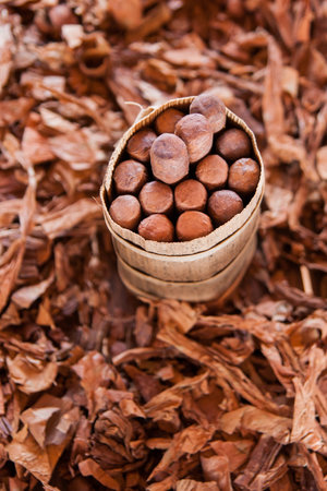 A high angle shot of cigars package on dried tobacco leaves in Cuba