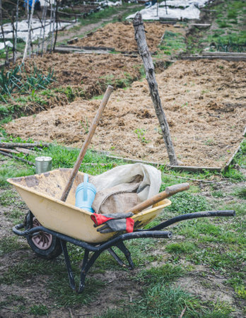 A vertical shot of a wheelbarrow with tools at the parkの写真素材