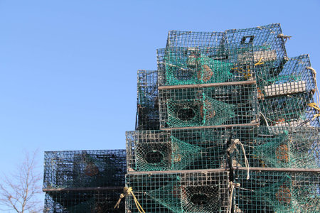 The traps for catching crabs and lobsters against the blue skyの写真素材