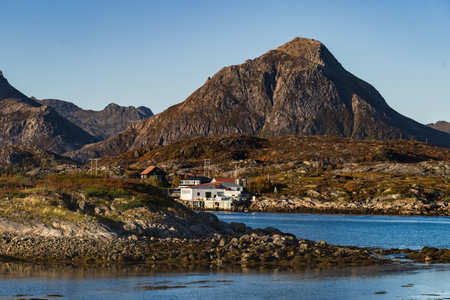 A mesmerizing shot of a cozy small house surrounded by greenery and waterの写真素材