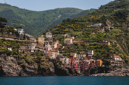 A picture of colorful buildings on a cliff surrounded by greenery in Fornacchi, Italy