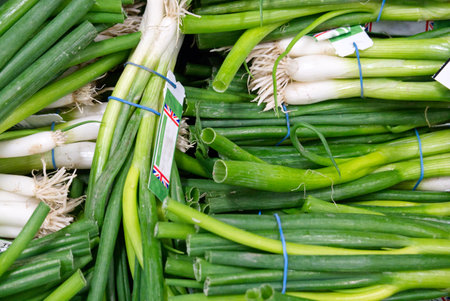 A pile of some bunches of fresh spring onions tied with a blue thread