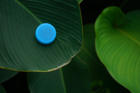 A high angle shot of a plastic water bottle cap on the green leaves in a forestの写真素材