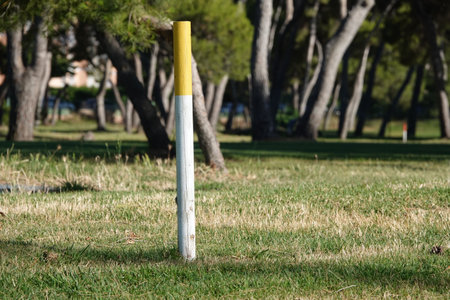 A selective focus shot of a golf course without a flag in golf fieldの写真素材