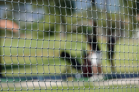 A closeup shot of a white net in a golf field