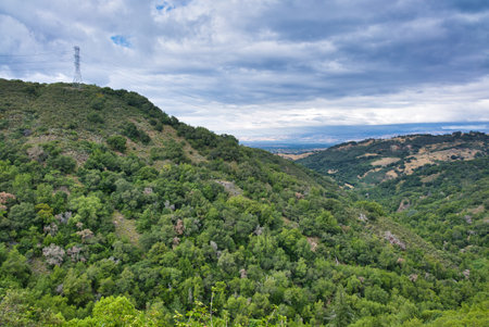 The hills and forests in Sierra Azul Open Space Preserve in the USA