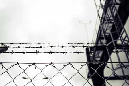 A low angle shot of barbed wire and mesh iron fence against a white sky. Protection, imprisonment,...