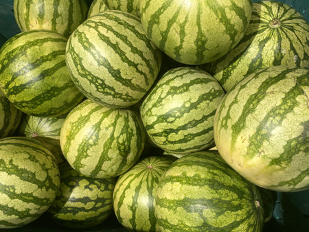 A closeup of a stock of harvested watermelon