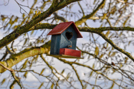 A close up shot of a cute bird house in red and blue with a heart hanging from a treeの写真素材