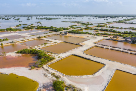 The salt ponds near Rio Lagartos, Yucatan, Mexicoの写真素材
